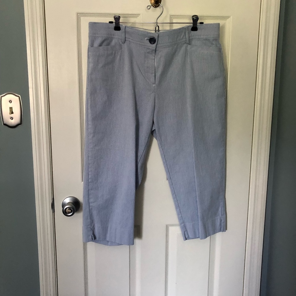Studio Works Capri Pants